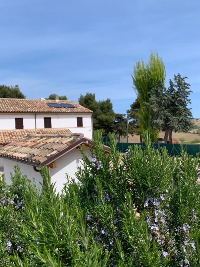 Naturaverde Country House Villa Senigallia Exterior photo