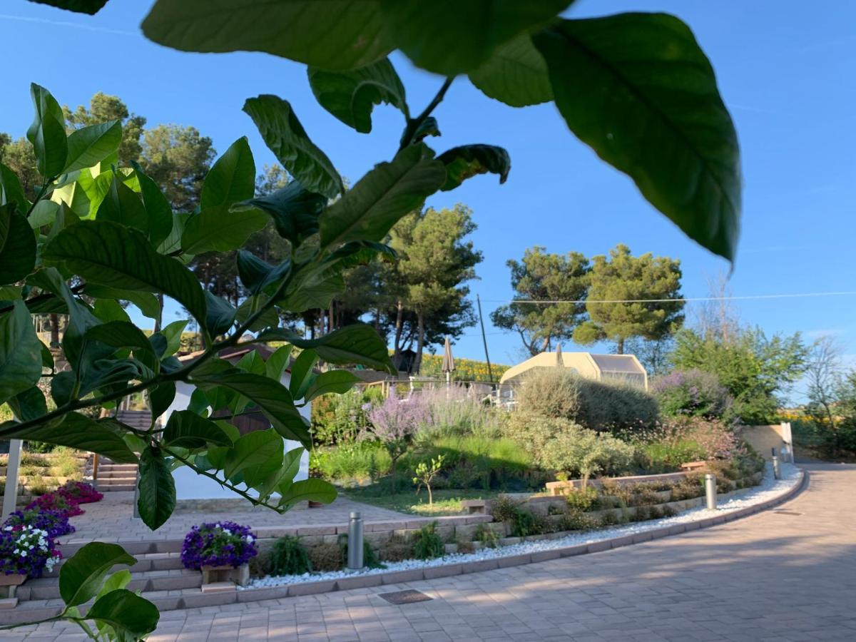 Naturaverde Country House Villa Senigallia Exterior photo